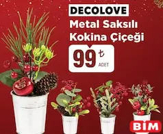DECOLOVE METAL SAKSILI KOKİNA ÇİÇEĞİ fiyat ve kampanya bilgisi